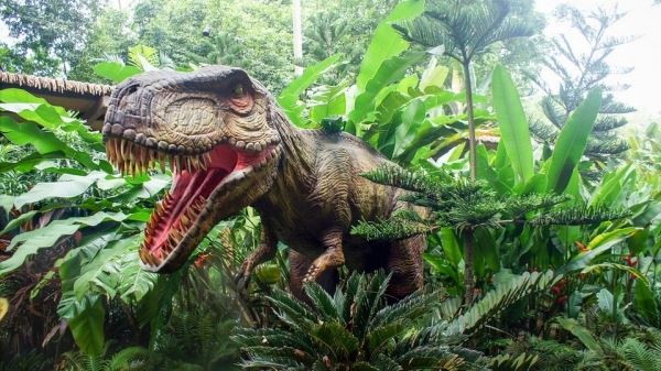 Археологи нашли черепаху, раздавленную динозавром 150 млн лет назад