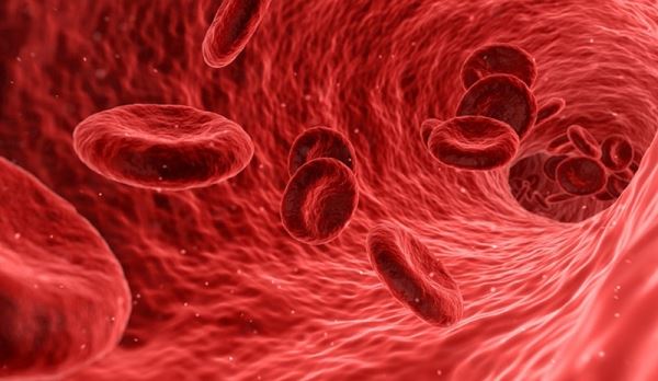 Ученые назвали группу крови, носители которой чаще болеют раком